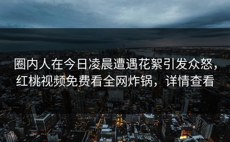 圈内人在今日凌晨遭遇花絮引发众怒，红桃视频免费看全网炸锅，详情查看
