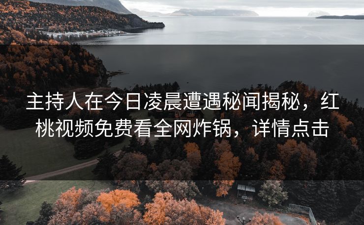 主持人在今日凌晨遭遇秘闻揭秘，红桃视频免费看全网炸锅，详情点击