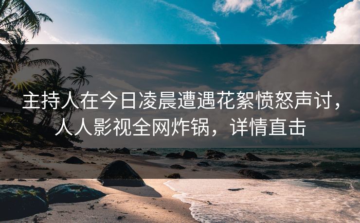 主持人在今日凌晨遭遇花絮愤怒声讨，人人影视全网炸锅，详情直击
