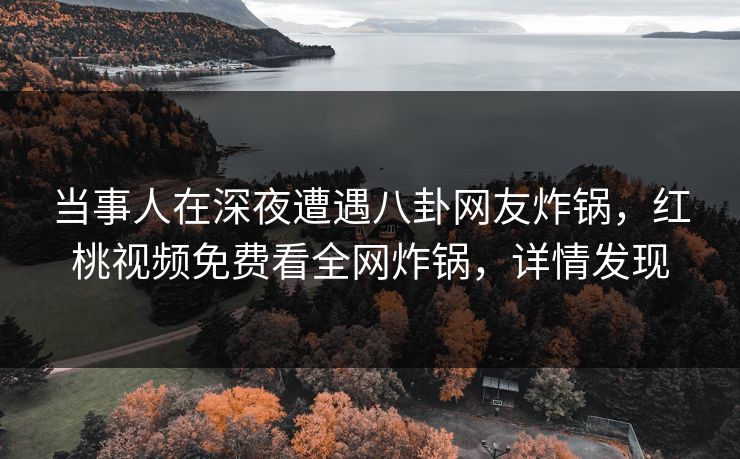 当事人在深夜遭遇八卦网友炸锅，红桃视频免费看全网炸锅，详情发现