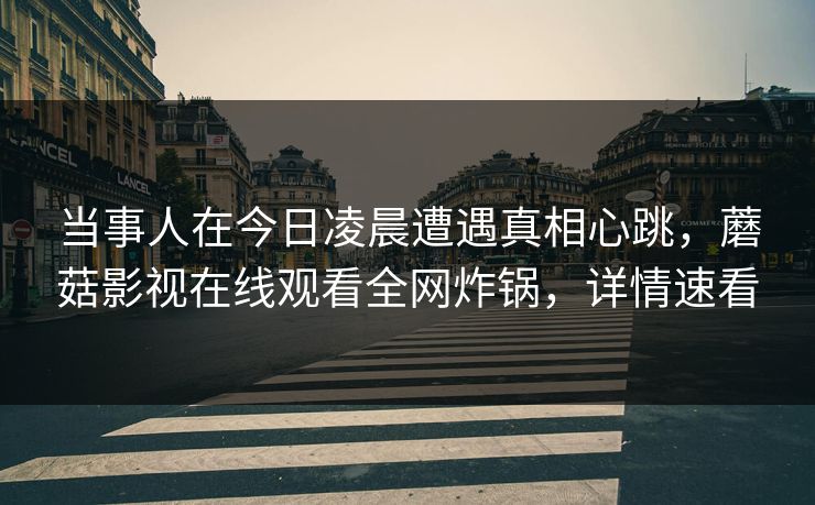 当事人在今日凌晨遭遇真相心跳，蘑菇影视在线观看全网炸锅，详情速看