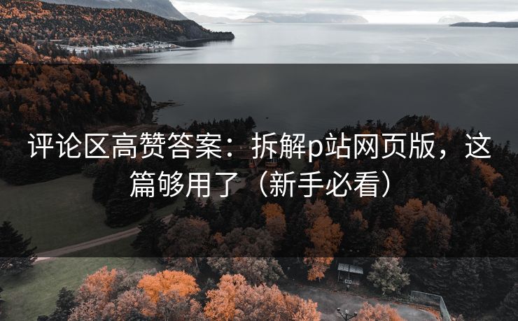 评论区高赞答案：拆解p站网页版，这篇够用了（新手必看）